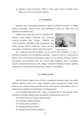 Mažekių miesto gyventojų gyvenimo kokybė ir gyvenamoji aplinka 12 puslapis