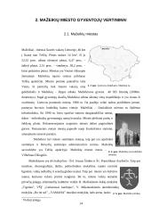 Mažekių miesto gyventojų gyvenimo kokybė ir gyvenamoji aplinka 14 puslapis