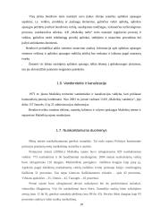 Mažekių miesto gyventojų gyvenimo kokybė ir gyvenamoji aplinka 10 puslapis