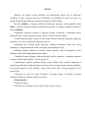 Migrantų problema šiuolaikiniame pasaulyje 2 puslapis