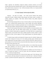 Migrantų problema šiuolaikiniame pasaulyje 11 puslapis