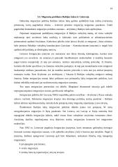 Migrantų problema šiuolaikiniame pasaulyje 13 puslapis