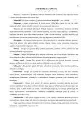 Migrantų problema šiuolaikiniame pasaulyje 3 puslapis