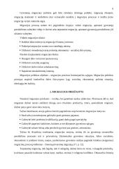 Migrantų problema šiuolaikiniame pasaulyje 5 puslapis