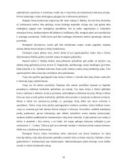 Misija, vizija ir jų reikšmė įmonėje: AB "Lietuvos draudimas" 18 puslapis