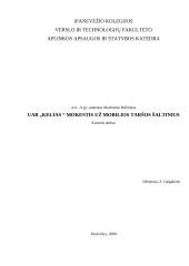 Mokestis už mobilios taršos šaltinius: statybinės medžiagos UAB "Kelias"