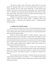 Mokestis už mobilios taršos šaltinius: statybinės medžiagos UAB "Kelias" 7 puslapis