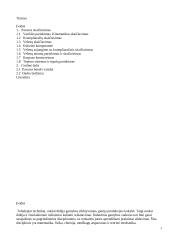 Multiplikatorius 3 puslapis