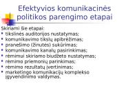 Naujo produkto įvedimo į rinką rėmimas įmonės pavyzdžiu 6 puslapis