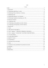 Naujos alaus rūšies pristatymas rinkoje 2 puslapis