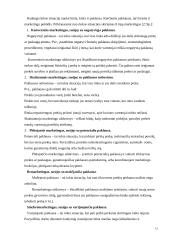 Naujos alaus rūšies pristatymas rinkoje 12 puslapis