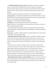 Naujos alaus rūšies pristatymas rinkoje 14 puslapis