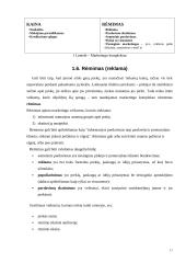 Naujos alaus rūšies pristatymas rinkoje 17 puslapis