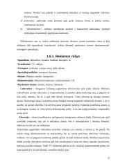 Naujos alaus rūšies pristatymas rinkoje 20 puslapis