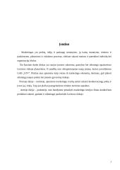 Naujos alaus rūšies pristatymas rinkoje 3 puslapis