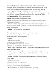 Naujos alaus rūšies pristatymas rinkoje 7 puslapis