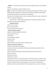 Naujos alaus rūšies pristatymas rinkoje 8 puslapis