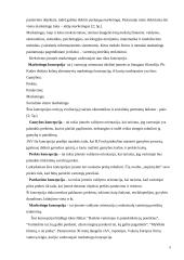 Naujos alaus rūšies pristatymas rinkoje 9 puslapis