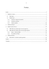 Nedarbo priežastys ir raida Lietuvoje 2 puslapis