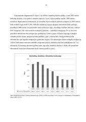 Nedarbo priežastys ir raida Lietuvoje 19 puslapis