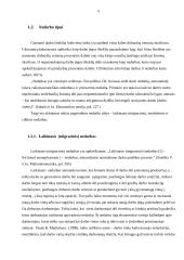 Nedarbo priežastys ir raida Lietuvoje 6 puslapis