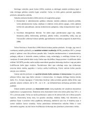 Nedarbas: priežastys ir raida Lietuvoje 12 puslapis