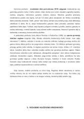 Nedarbas: priežastys ir raida Lietuvoje 13 puslapis