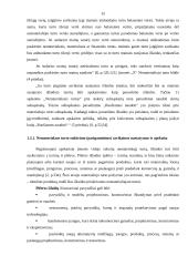 Nematerialaus turto grupavimas, teoriniai ir praktiniai apskaitos aspektai 13 puslapis