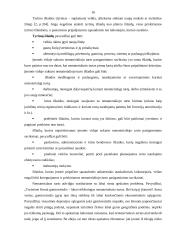 Nematerialaus turto grupavimas, teoriniai ir praktiniai apskaitos aspektai 14 puslapis