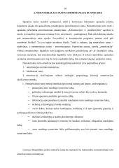 Nematerialaus turto grupavimas, teoriniai ir praktiniai apskaitos aspektai 16 puslapis