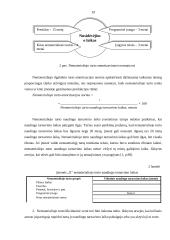 Nematerialaus turto grupavimas, teoriniai ir praktiniai apskaitos aspektai 17 puslapis