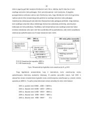 Nematerialaus turto grupavimas, teoriniai ir praktiniai apskaitos aspektai 18 puslapis