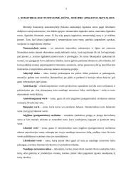 Nematerialaus turto grupavimas, teoriniai ir praktiniai apskaitos aspektai 3 puslapis