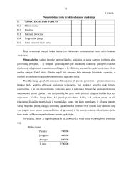 Nematerialaus turto grupavimas, teoriniai ir praktiniai apskaitos aspektai 7 puslapis