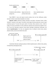 Nematerialaus turto grupavimas, teoriniai ir praktiniai apskaitos aspektai 8 puslapis