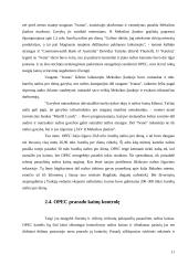 OPEC svarba naftos rinkoje 11 puslapis