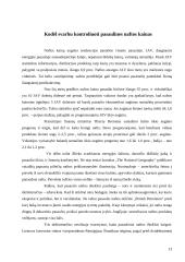 OPEC svarba naftos rinkoje 13 puslapis