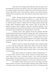 OPEC svarba naftos rinkoje 19 puslapis