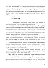 OPEC svarba naftos rinkoje 9 puslapis