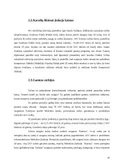 OPEC svarba naftos rinkoje 10 puslapis