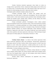 Organizacijos išorinės aplinkos įtaka valdymui 19 puslapis