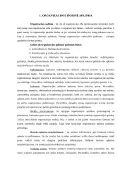 Organizacijos išorinės aplinkos įtaka valdymui 3 puslapis