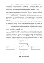 Organizacijos išorinės aplinkos įtaka valdymui 5 puslapis