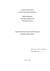 Organizacijos valdymo analizė: pervežimų kompanija UAB "Toks"