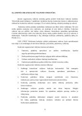 Organizacijos valdymo analizė: pervežimų kompanija UAB "Toks" 11 puslapis
