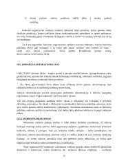 Organizacijos valdymo analizė: pervežimų kompanija UAB "Toks" 12 puslapis