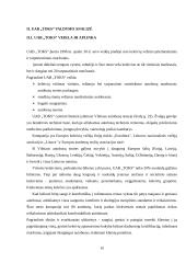 Organizacijos valdymo analizė: pervežimų kompanija UAB "Toks" 10 puslapis
