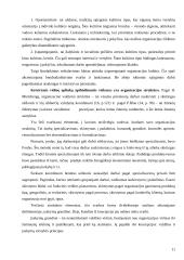 Organizacijos vidinė ir išorinė aplinka 11 puslapis