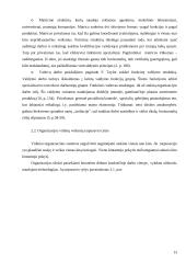 Organizacijos vidinė ir išorinė aplinka 13 puslapis