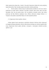 Organizacijos vidinė ir išorinė aplinka 16 puslapis